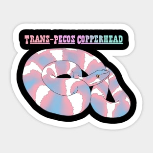 Trans Snek Sticker